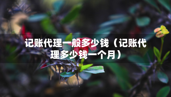 記賬代理一般多少錢（記賬代理多少錢一個(gè)月）