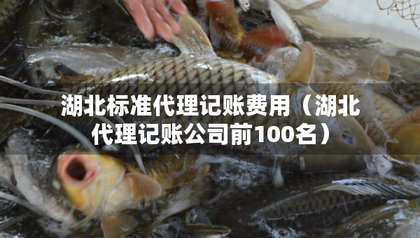 湖北標(biāo)準(zhǔn)代理記賬費(fèi)用（湖北代理記賬公司前100名）