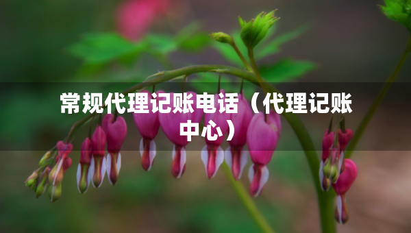 常規(guī)代理記賬電話（代理記賬中心）