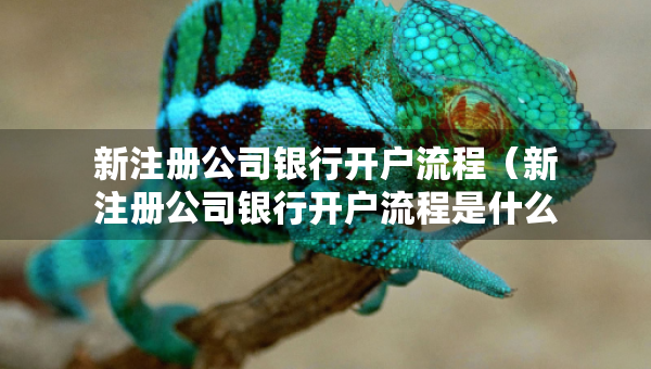 新注冊公司銀行開戶流程（新注冊公司銀行開戶流程是什么）