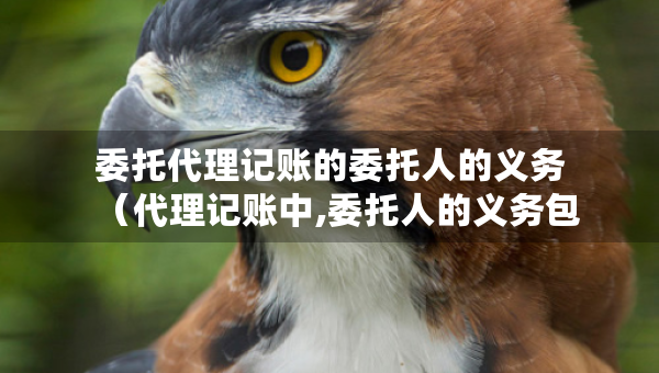 委托代理記賬的委托人的義務(wù)（代理記賬中,委托人的義務(wù)包括）