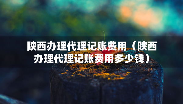 陜西辦理代理記賬費(fèi)用（陜西辦理代理記賬費(fèi)用多少錢）