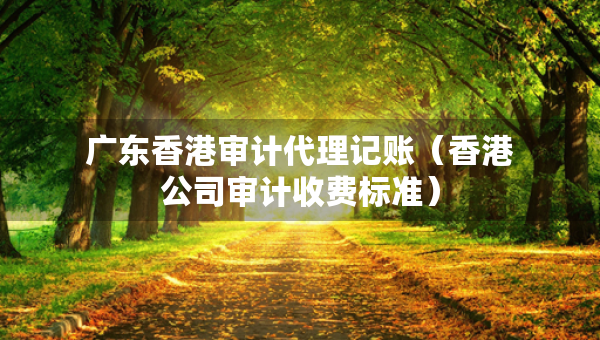 廣東香港審計(jì)代理記賬(香港公司審計(jì)收費(fèi)標(biāo)準(zhǔn)) 廣東香港審計(jì)代理記賬(香港公司審計(jì)收費(fèi)標(biāo)準(zhǔn))