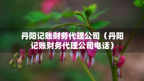 丹陽(yáng)記賬財(cái)務(wù)代理公司（丹陽(yáng)記賬財(cái)務(wù)代理公司電話）