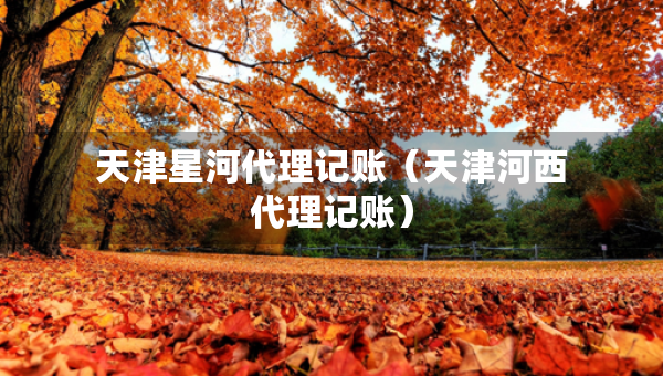 天津星河代理記賬（天津河西代理記賬）