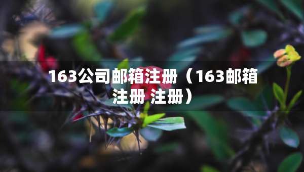 163公司郵箱注冊(cè)(163郵箱注冊(cè) 注冊(cè)) 163公司郵箱注冊(cè)(163郵箱注冊(cè) 注冊(cè))
