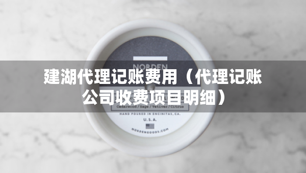 建湖代理記賬費(fèi)用（代理記賬公司收費(fèi)項(xiàng)目明細(xì)）