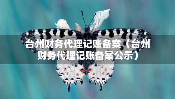 臺州財(cái)務(wù)代理記賬備案（臺州財(cái)務(wù)代理記賬備案公示）
