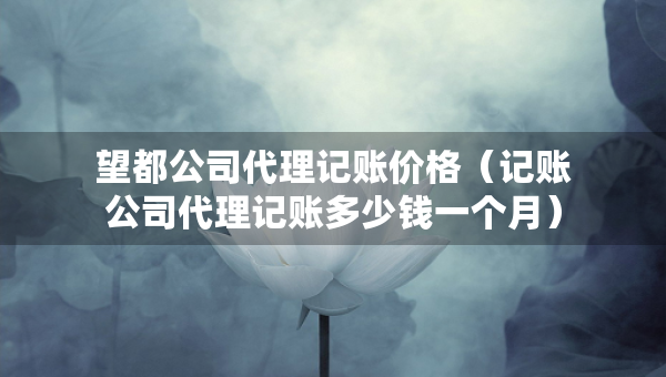 望都公司代理記賬價格(記賬公司代理記賬多少錢一個月) 望都公司代理記賬價格(記賬公司代理記賬多少錢一個月)
