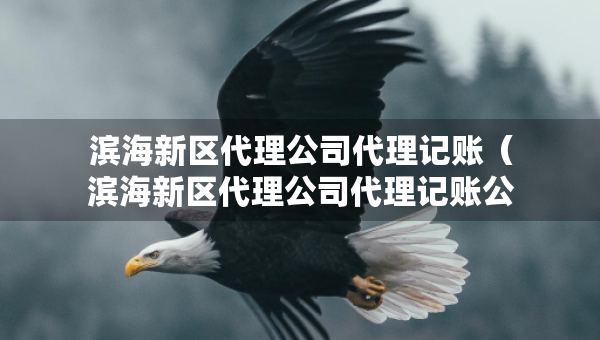 濱海新區(qū)代理公司代理記賬（濱海新區(qū)代理公司代理記賬公司電話）