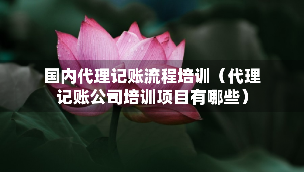國(guó)內(nèi)代理記賬流程培訓(xùn)（代理記賬公司培訓(xùn)項(xiàng)目有哪些）