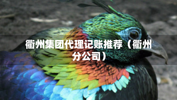 衢州集團(tuán)代理記賬推薦（衢州分公司）