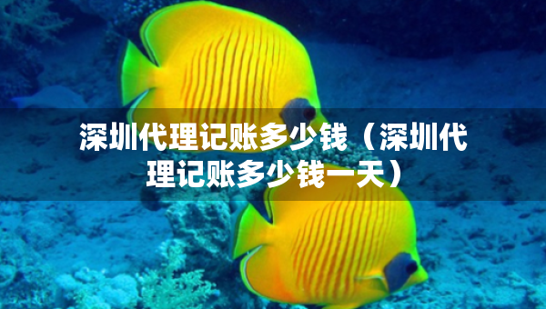 深圳代理記賬多少錢（深圳代理記賬多少錢一天）