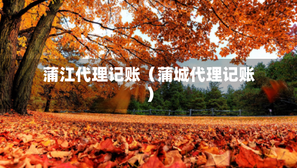 蒲江代理記賬（蒲城代理記賬）