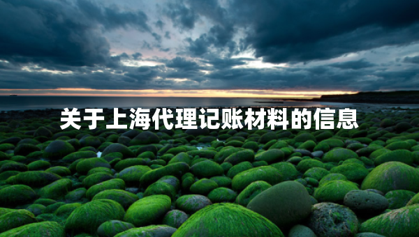 關于上海代理記賬材料的信息