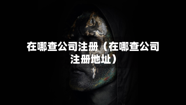 在哪查公司注冊（在哪查公司注冊地址）
