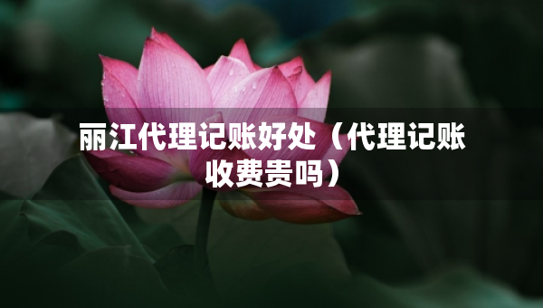 麗江代理記賬好處（代理記賬收費(fèi)貴嗎）