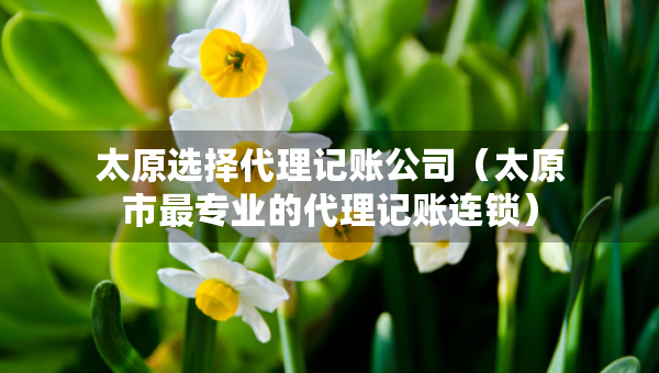 太原選擇代理記賬公司（太原市最專業(yè)的代理記賬連鎖）