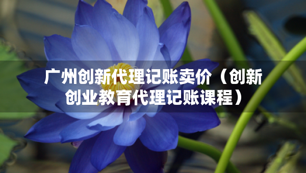 廣州創(chuàng)新代理記賬賣價(jià)（創(chuàng)新創(chuàng)業(yè)教育代理記賬課程）