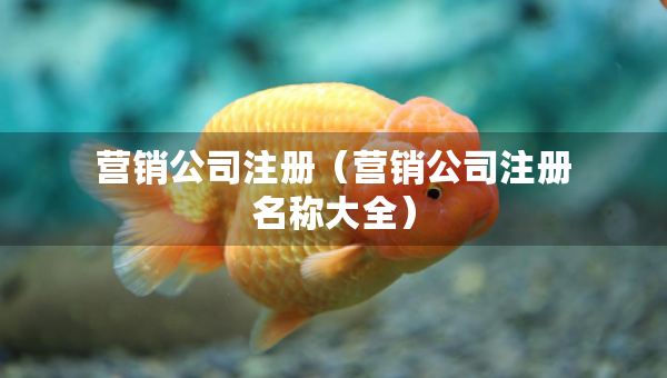 營銷公司注冊（營銷公司注冊名稱大全）