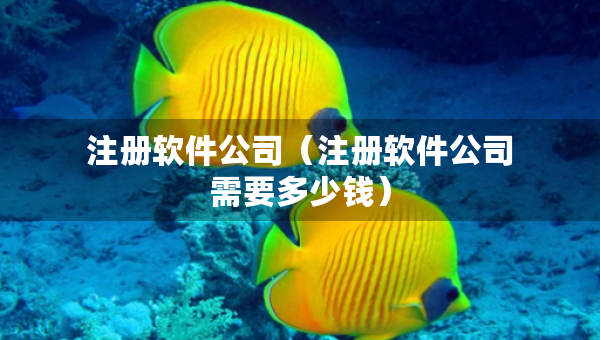 注冊(cè)軟件公司（注冊(cè)軟件公司需要多少錢(qián)）