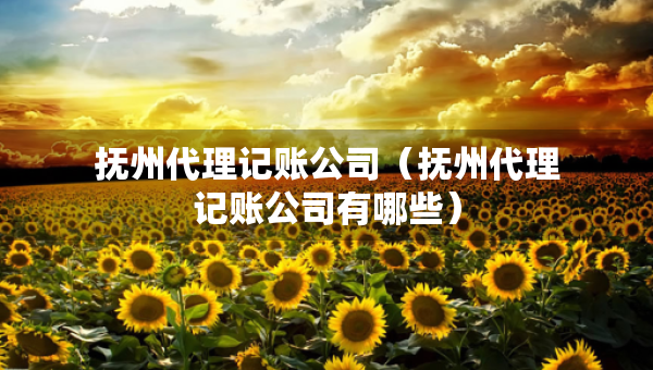撫州代理記賬公司（撫州代理記賬公司有哪些）