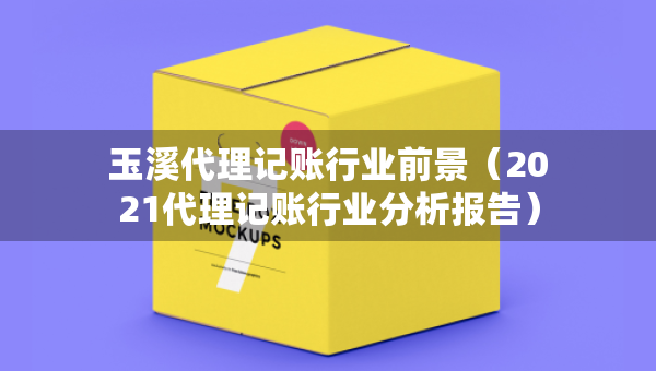 玉溪代理記賬行業(yè)前景（2021代理記賬行業(yè)分析報(bào)告）