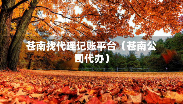 蒼南找代理記賬平臺(蒼南公司代辦) 蒼南找代理記賬平臺(蒼南公司代辦)