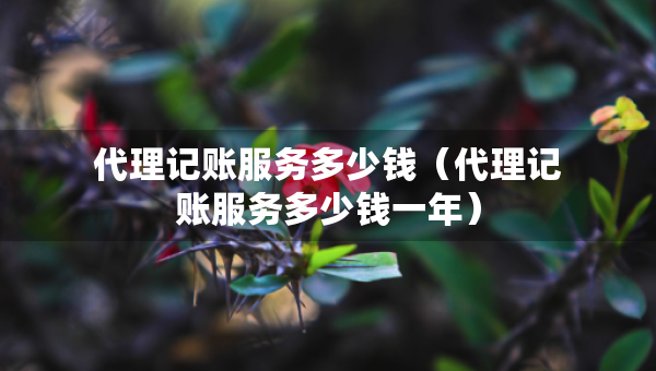 代理記賬服務(wù)多少錢（代理記賬服務(wù)多少錢一年）