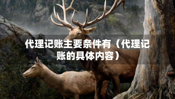 代理記賬主要條件有（代理記賬的具體內(nèi)容）