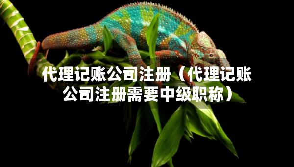 代理記賬公司注冊(cè)（代理記賬公司注冊(cè)需要中級(jí)職稱）