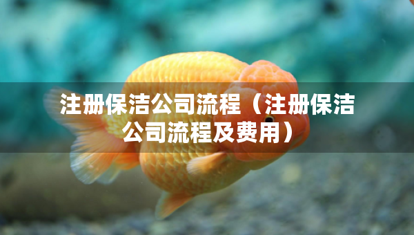 注冊(cè)保潔公司流程（注冊(cè)保潔公司流程及費(fèi)用）