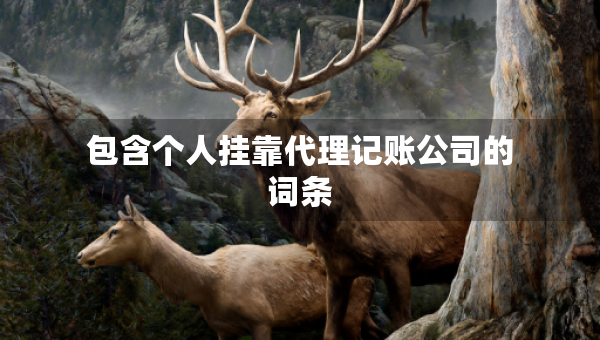 包含個(gè)人掛靠代理記賬公司的詞條