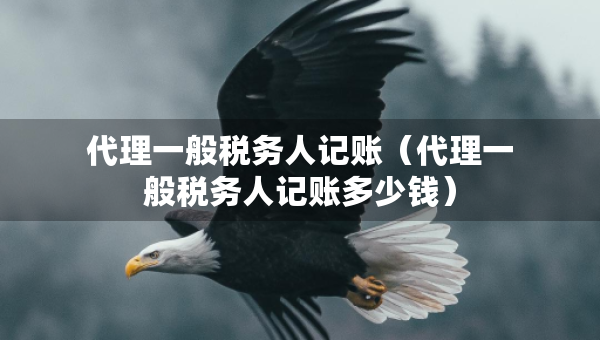 代理一般稅務(wù)人記賬(代理一般稅務(wù)人記賬多少錢) 代理一般稅務(wù)人記賬(代理一般稅務(wù)人記賬多少錢)