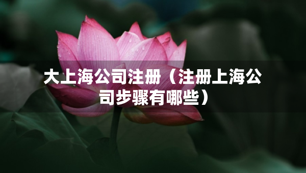 大上海公司注冊(cè)（注冊(cè)上海公司步驟有哪些）