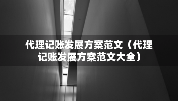 代理記賬發(fā)展方案范文（代理記賬發(fā)展方案范文大全）