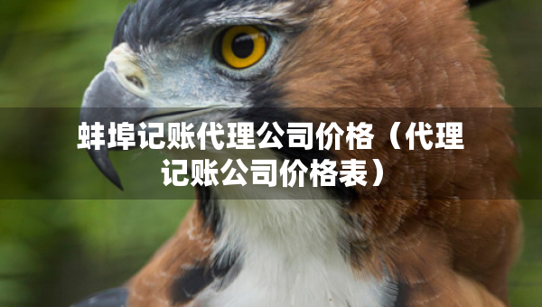 蚌埠記賬代理公司價(jià)格（代理記賬公司價(jià)格表）