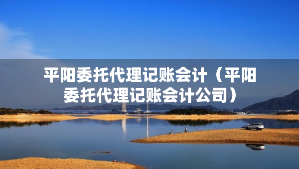 平陽(yáng)委托代理記賬會(huì)計(jì)（平陽(yáng)委托代理記賬會(huì)計(jì)公司）