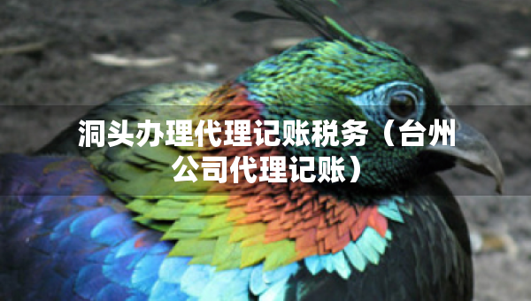 洞頭辦理代理記賬稅務(wù)（臺(tái)州公司代理記賬）