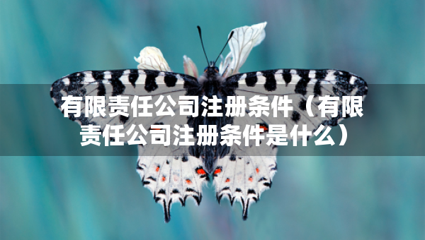 有限責(zé)任公司注冊條件（有限責(zé)任公司注冊條件是什么）