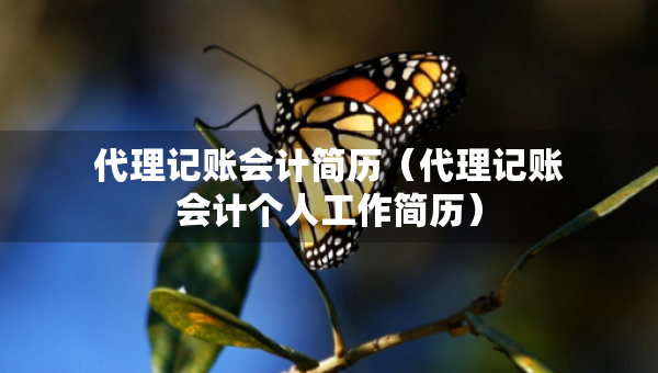 代理記賬會計簡歷（代理記賬會計個人工作簡歷）