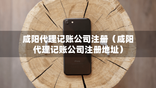 咸陽(yáng)代理記賬公司注冊(cè)（咸陽(yáng)代理記賬公司注冊(cè)地址）