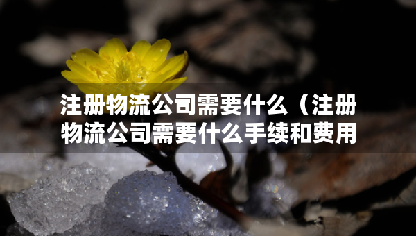 注冊(cè)物流公司需要什么（注冊(cè)物流公司需要什么手續(xù)和費(fèi)用）