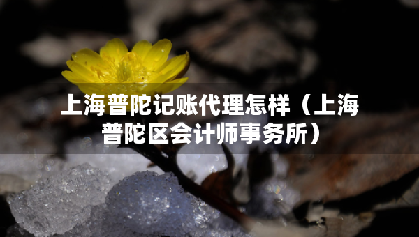 上海普陀記賬代理怎樣（上海普陀區(qū)會計(jì)師事務(wù)所）