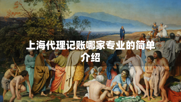 上海代理記賬哪家專業(yè)的簡單介紹