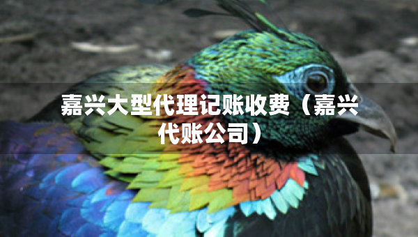 嘉興大型代理記賬收費（嘉興代賬公司）