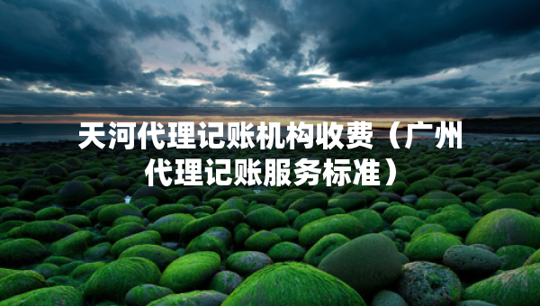 天河代理記賬機(jī)構(gòu)收費(fèi)（廣州代理記賬服務(wù)標(biāo)準(zhǔn)）