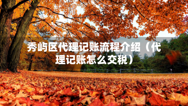 秀嶼區(qū)代理記賬流程介紹（代理記賬怎么交稅）