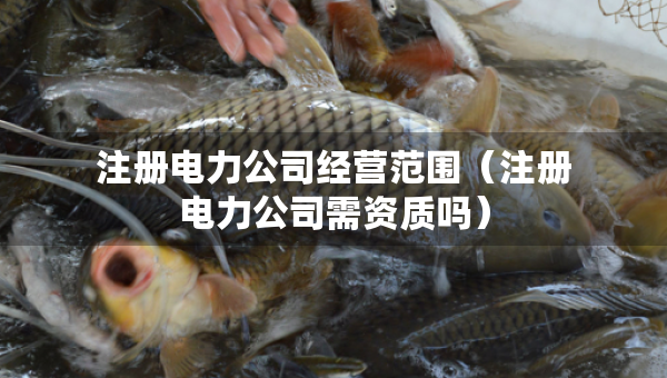 注冊(cè)電力公司經(jīng)營(yíng)范圍（注冊(cè)電力公司需資質(zhì)嗎）