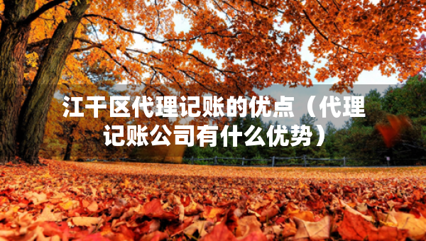 江干區(qū)代理記賬的優(yōu)點(diǎn)（代理記賬公司有什么優(yōu)勢(shì)）